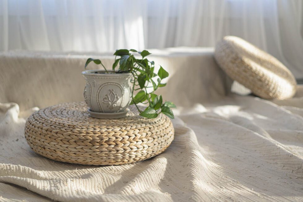 Capture your perfect moment in the radiant sunlight, as seen here with this beautiful potted plant residing on a hand-woven mat, shot by our top-rated Edmonton photography studio. Ideal for those seeking photography services or looking for a stunning venue to host a photo shoot, event, workshop or class.